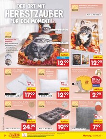 Sitzmöbel im Netto Marken-Discount Prospekt "Aktuelle Angebote" mit 60 Seiten (Darmstadt)