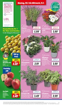 Bio Wassermelone Angebot im aktuellen Lidl Prospekt auf Seite 3