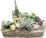 ALDI SÜD - Weihnachtliche Arrangements Angebot im Prospekt Weihnachtliche Arrangements bei ALDI SÜD im Prospekt "" für 4,99 €