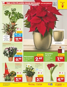 Blumen im aktuellen Netto Marken-Discount Prospekt (Aachen) Blumen im Netto Marken-Discount Prospekt "Aktuelle Angebote" mit 65 Seiten (Aachen)