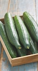 Promo Concombre à 1,58 € dans le catalogue Intermarché à Vienne