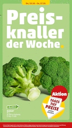 Penny Kohl im Prospekt 