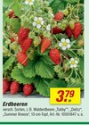 Erdbeeren bei toom Baumarkt im Ritterhude Prospekt für 3,79 €