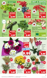 Aktueller Kaufland Prospekt mit Blumen, "Aktuelle Angebote", Seite 21