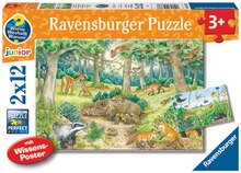 Puzzle von Ravensburger im aktuellen Rossmann Prospekt für €7.99