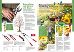 Insektenschutz Insektenschutz
