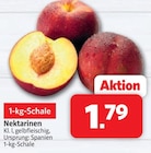 Markant Nordwest Dörpen - Nektarinen Angebot im Prospekt Nektarinen bei Markant Nordwest im Dörpen Prospekt für 1,79 €