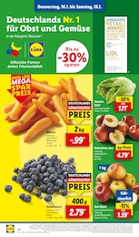 Lidl Nektarinen im Prospekt 