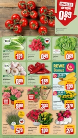 Blumen im REWE Prospekt in Essen Aktueller REWE Prospekt mit Blumen, "Dein Markt", Seite 5