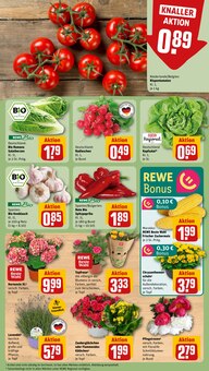 Gemüse im REWE Prospekt "Dein Markt" mit 28 Seiten (Essen)