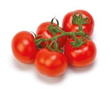 Strauchtomaten bei Netto mit dem Scottie im Neundorf Prospekt für 3,29 €