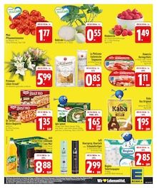 Cola im EDEKA Prospekt "HOL DIR DIE EDEKA APP." mit 30 Seiten (Straubing)