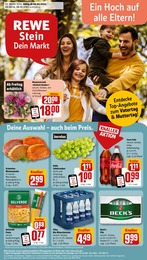 REWE Prospekt "Dein Markt" für Eckernförde, 30 Seiten, 06.05.2024 - 11.05.2024