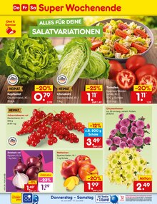 Pflanzen im aktuellen Netto Marken-Discount Prospekt (Freiburg (Breisgau)) Pflanzen im Netto Marken-Discount Prospekt "Aktuelle Angebote" mit 64 Seiten (Freiburg (Breisgau))