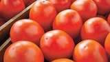 Tomate allongée à Netto dans Moulin-Mage