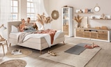 Trends Bottrop - Wohnprogramm THORSTED Angebot im Prospekt Wohnprogramm THORSTED bei Trends im Bottrop Prospekt für 199,00 €