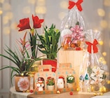 Calla en promo chez U Express Calla dans le catalogue U Express