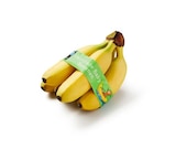 Baby-Bananen Angebote von Fairtrade bei Lidl Stralsund für 0,99 €