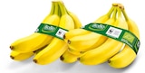 Aktuelle Bananen Angebote bei Netto Marken-Discount in Mannheim Aktuelles Bio Bananen Angebot bei Netto Marken-Discount in Mannheim ab 1,69 €