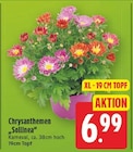 E center Berlin Prospekt mit  im Angebot für 6,99 €