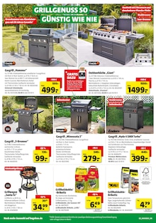 Briketts im aktuellen hagebau kompakt Prospekt (Wiesbaden) Briketts im hagebau kompakt Prospekt "HIER GRILLT DEIN BESTPREIS" mit 8 Seiten (Wiesbaden)