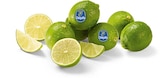 Limetten  im aktuellen Netto Marken-Discount Prospekt für 1,69 €