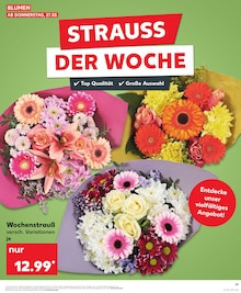 Blumen im Kaufland Prospekt "Aktuelle Angebote" mit 32 Seiten (Erfurt)