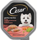 Terrine Angebote von Cesar bei Zimmermann Oldenburg für 0,55 €