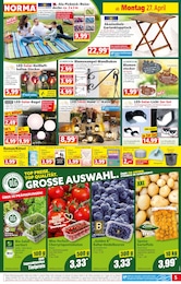 Bio Kartoffeln Angebot im aktuellen Norma Prospekt auf Seite 5