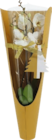 Orchidee 2-Trieber im E xpress Prospekt Orchidee 2-Trieber von im aktuellen E xpress Prospekt für 9,99 €