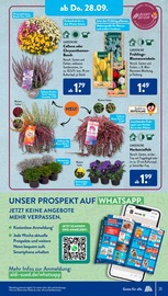 Blumenzwiebeln im ALDI SÜD Prospekt in Offenburg Aktueller ALDI SÜD Prospekt mit Blumenzwiebeln, "Meine Woche", Seite 23