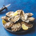 Huitres fines de Bretagne - U en promo chez U Express Alès à 8,91 €