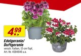 Angebot im toom Baumarkt Wangen (AllgĂ€u) Prospekt toom Baumarkt Wangen (AllgĂ€u) Prospekt mit im Angebot fĂŒr 4,99 âŹ