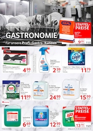 Glasreiniger Angebot & Preis im aktuellen Selgros Prospekt Glasreiniger Angebot im aktuellen Selgros Prospekt auf Seite 21