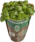 EDEKA - Petersilie kraus Angebot im Prospekt Petersilie kraus bei EDEKA im Prospekt "" für 1,59 €