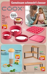 REWE Springform im Prospekt 