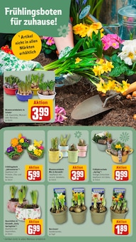 Küche im REWE Prospekt "Dein Markt" mit 32 Seiten (Erlangen)