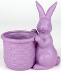 Aktuelles Hase mit Blumentopf Angebot bei Thomas Philipps in Hildesheim ab 5,99 €
