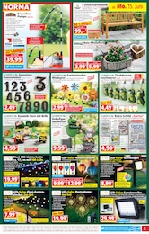 Holz Angebot & Preis im aktuellen Norma Prospekt Holz Angebot im aktuellen Norma Prospekt auf Seite 3
