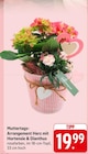 EDEKA Bruchsal - Muttertags-Arrangement Herz mit Hortensie & Dianthus Angebot im Prospekt Muttertags-Arrangement Herz mit Hortensie & Dianthus bei EDEKA im Bruchsal Prospekt für 19,99 €
