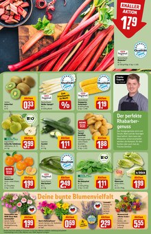 Zucchini im REWE Prospekt "Dein Markt" mit 32 Seiten (München)