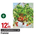 Fraisier à Gamm vert dans Matheflon Fraisier à Gamm vert dans Matheflon