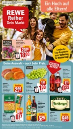 REWE Prospekt "Dein Markt" für Holzweißig, 26 Seiten, 06.05.2024 - 11.05.2024