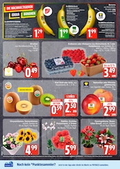 Erdbeeren im EDEKA Prospekt in Neubrandenburg Aktueller EDEKA Prospekt mit Erdbeeren, "Top Angebote", Seite 4