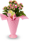 Aktuelle Blumen Angebote bei Netto Marken-Discount in Oberhausen Aktuelles Kalanchoe Angebot bei Netto Marken-Discount in Oberhausen ab 4,99 €