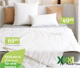 Aktuelles Betten-Serie „Pasi“ Angebot bei XXXLutz Möbelhäuser in Pforzheim ab 49,99 €
