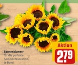 Sonnenblumen im Angebot bei REWE in Leinfelden-Echterdingen Sonnenblumen Angebote bei REWE Leinfelden-Echterdingen für 2,79 €