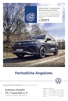 Aktueller Volkswagen Prospekt für Blumberg und Ungebung, Seite zum blättern Volkswagen Prospekt Herbstliche Angebote. mit Seite in Blumberg und Umgebung