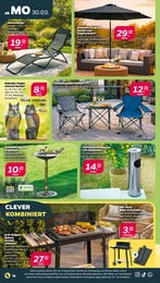 Sonnenschirm Angebot im aktuellen Netto mit dem Scottie Prospekt auf Seite 24