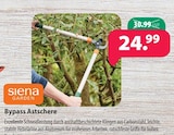Bypass Astschere von Siena Garden im aktuellen Kiebitzmarkt Prospekt für 24,99 €